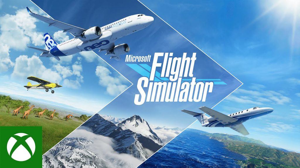 flight simulator