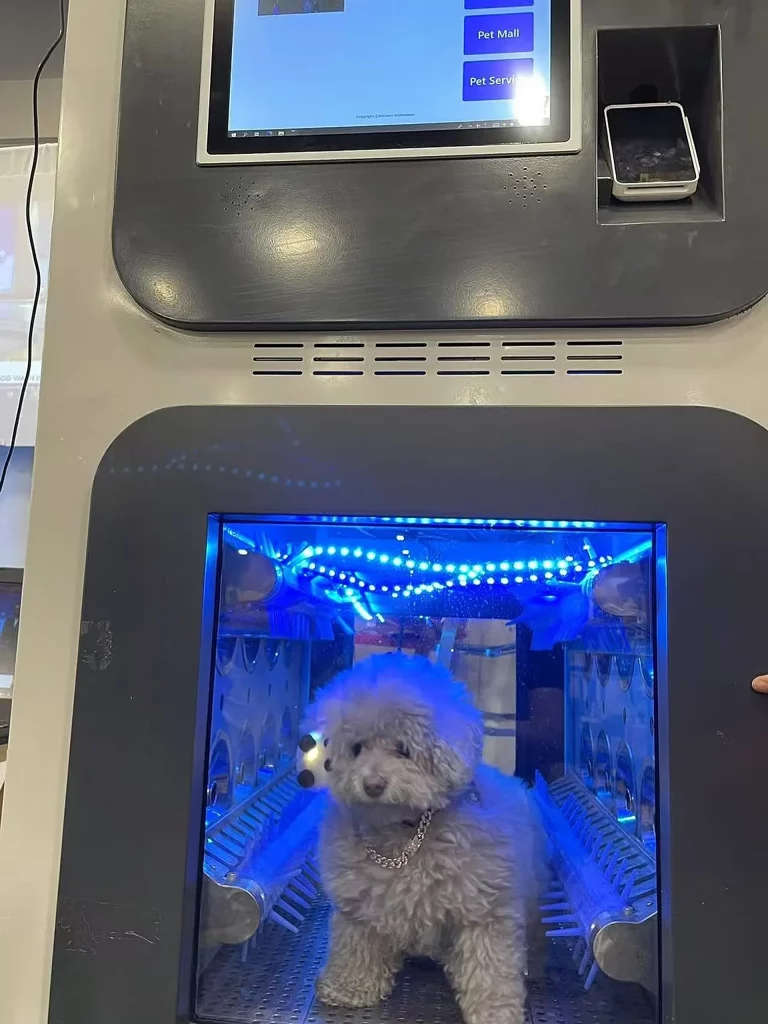 حمام سگ هوشمند