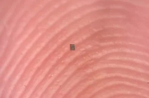 کوچک‌تر از دانه نمک؛ معرفی کوچک‌ترین ربات برنامه‌پذیر جهان