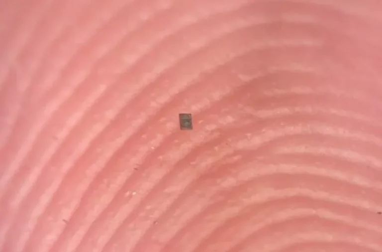 کوچک‌تر از دانه نمک؛ معرفی کوچک‌ترین ربات برنامه‌پذیر جهان