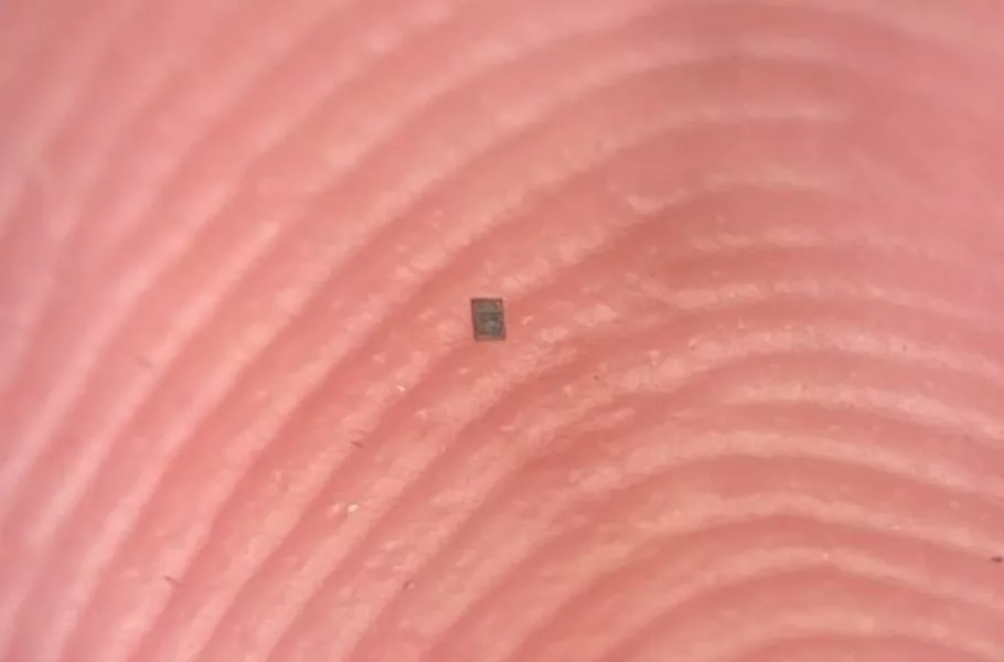 کوچکتر از دانه نمک؛ معرفی کوچکترین ربات برنامهپذیر جهان